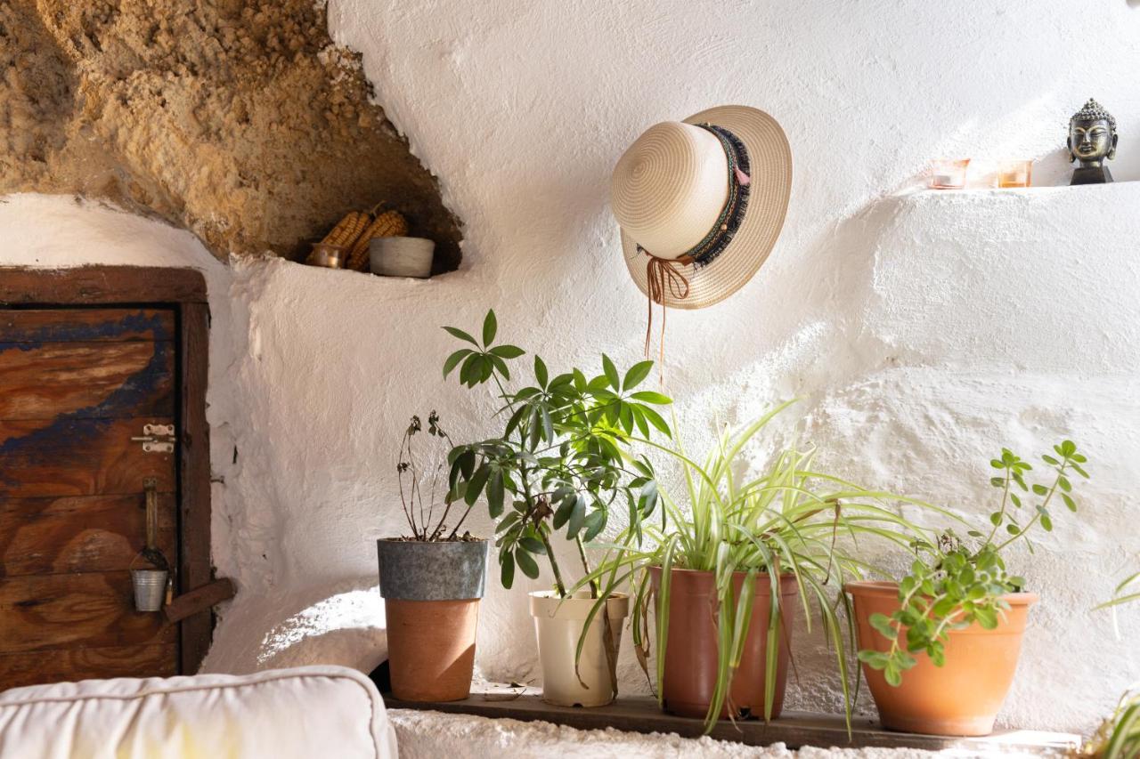 Casa Cueva Gaspara Casa de vacances Arico